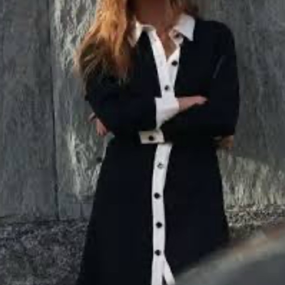 NWT ZARA BUTTON DOWN DRESS /  VARIOUS SIZES - Picture 2 of 8